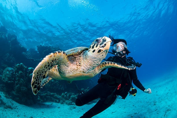 Scuba Diving in Alanya – Discover the Underwater Magic of the Mediterranean